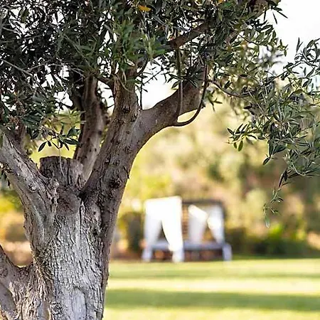 Hotel Valverde Design Country 5*